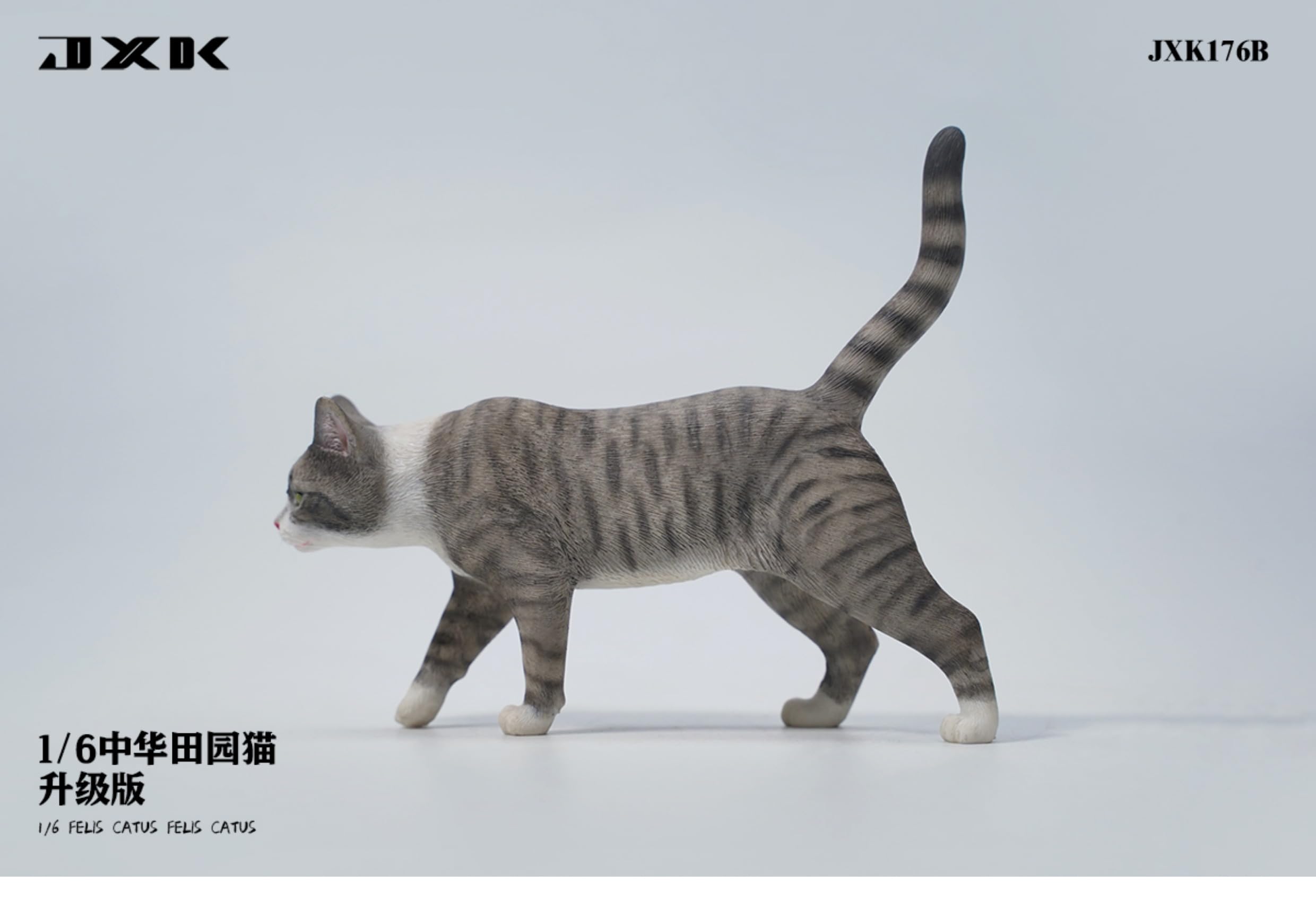 Amazon.com: WLNTDOLA 1:6 Scale Felis Catus Figure Realistic